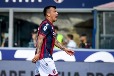 İtalya futbol takımı Serie A maçında Bologna FC, Bologna Fiorentina 'ya karşı (portreler arşivi) Bologna, İtalya' da Renato dall 'Ara Stadyumu' nda 11 Eylül 2022 - Fotoğraf: Ettore Griffoni