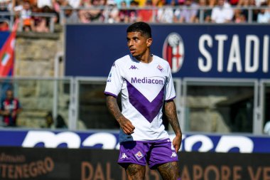 Fiorentina 'nın Domilson Cordeiro dos Santos Dodo portresi İtalyan futbol takımı Serie A maçında Bologna FC - ACF Fiorentina (portreler arşivi) - Renato dall' Ara Stadyumu, Bologna, İtalya, 11 Eylül 2022 - Fotoğraf: Ettore Griffoni