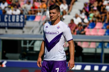 Fiorentina 'nın Luka Jovic portresi İtalyan futbolu Serie A maçında Bologna FC - ACF Fiorentina (portreler arşivi) maçı Bologna, İtalya' da Renato dall 'Ara stadyumunda, 11 Eylül 2022 - Fotoğraf: Ettore Griffoni