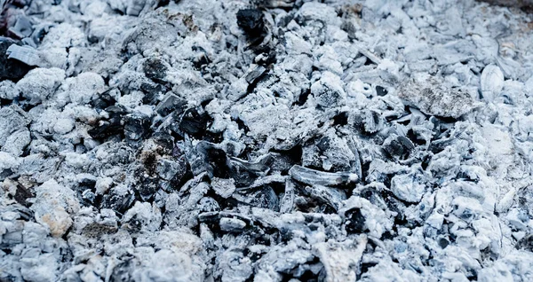 wood coal and ash texture, flat lay