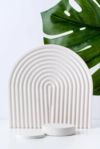 A minimalistic scene of white gypsum podium on white background ith monstera leaf. Round white catwalk for the presentation of products and cosmetics