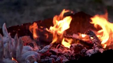 Kamp alanında ızgarada tavuk kanadı pişirmek. Tavuk hazırlayıp ızgara yapıyorum. Arka planda kömür alevleri ve duman var. Taze et kızartıyorum..