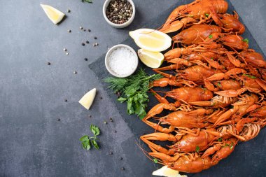 Koyu çimento arka planda malzemelerle çevrili limon ve baharatlı kerevit üst görünümü