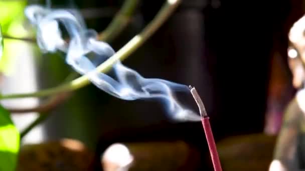 Røgelsespind Brændende Genererer Aromatisk Røg Omgivet Buddha Statue Østlige Ornamentpuder – Stock-video