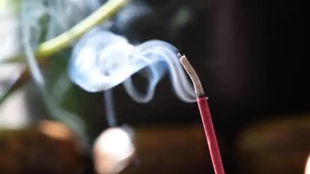 Kadzidło Kij Palenie Generujący Aromatyczny Dym Otoczony Statuą Buddy Wschodnią — Wideo stockowe