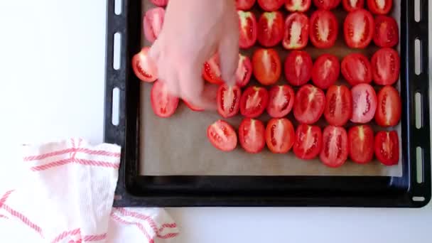 Pyszne Czerwone Pomidory Człowiek Ręce Wprowadzenie Pomidory Tacy Suszenia Zbliżenie — Wideo stockowe