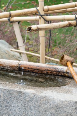 Kyoto, Japonya 'daki tapınakta temizlik için su kepçesi ve leğen.