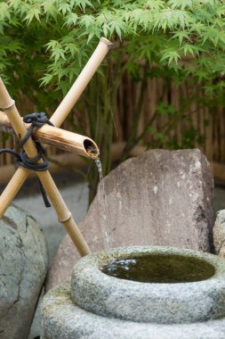 Kyoto, Japonya 'daki tapınakta temizlik için su kepçesi ve leğen.