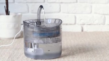 Evcil su dağıtıcısı. Evdeki bej halının üzerinde otomatik yerçekimi dolumu var.