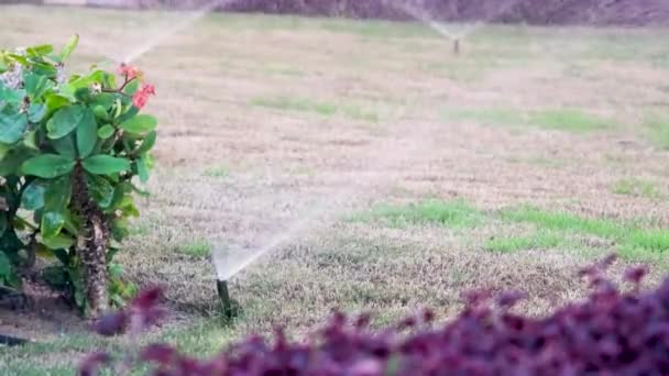 Automatischer Rasensprenger Einsatz Der Grünes Gras Wässert — Stockvideo
