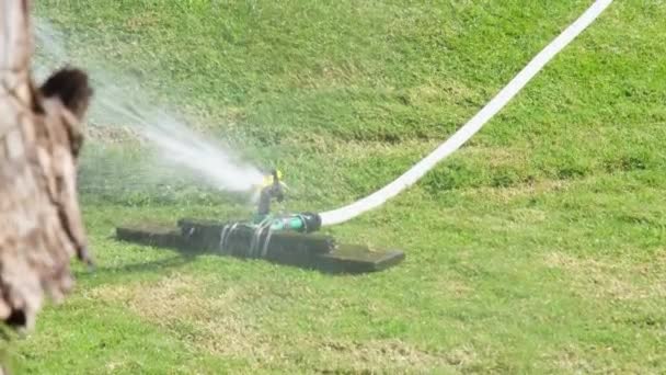 アクションで自動庭の芝生のスプリンクラーは 緑の草を散水 — ストック動画