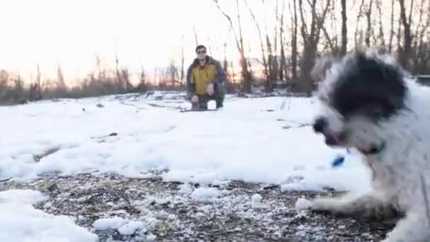 Mann Geht Winter Mit Hund Park Spazieren — Stockvideo