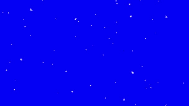Flocos Neve Caindo Frente Tela Azul — Vídeo de Stock