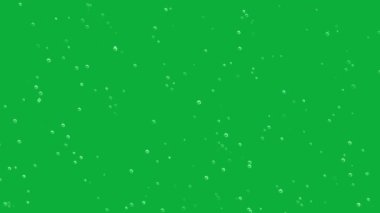 Yeşil ekran sabun köpükleri döngü animasyonu, su kabarcıkları, şeffaf baloncuk, 4K
