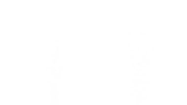 Su elementi arka planı. Alfa Kanalında hava kabarcıklarının hareketi