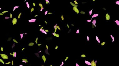 İlkbahar arkaplanı, Yapraklar, Yapraklar Siyah, beyaz, mavi arkaplan üzerine düşen yapraklar