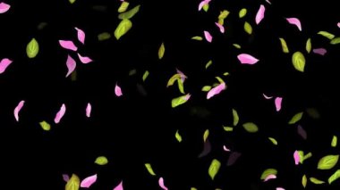 İlkbahar arkaplanı, Yapraklar, Yapraklar Siyah, beyaz, mavi arkaplan üzerine düşen yapraklar