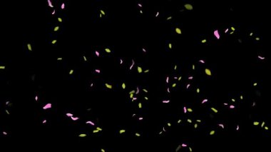 İlkbahar arkaplanı, Yapraklar, Yapraklar Siyah, beyaz, mavi arkaplan üzerine düşen yapraklar