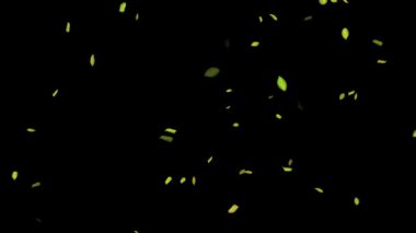 Siyah Arkaplanda Döngülü Yapraklar Animasyonu, Beyaz Arkaplan, Mavi Arkaplan