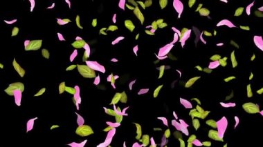 İlkbahar arkaplanı, Yapraklar, Yapraklar Siyah, beyaz, mavi arkaplan üzerine düşen yapraklar