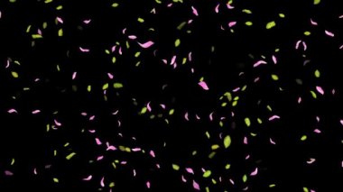 İlkbahar arkaplanı, Yapraklar, Yapraklar Siyah, beyaz, mavi arkaplan üzerine düşen yapraklar