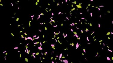 İlkbahar arkaplanı, Yapraklar, Yapraklar Siyah, beyaz, mavi arkaplan üzerine düşen yapraklar