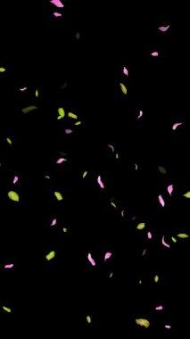 İlkbahar arkaplanı, Yapraklar, Yapraklar Siyah, beyaz, mavi arkaplan üzerine düşen yapraklar