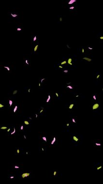 İlkbahar arkaplanı, Yapraklar, Yapraklar Siyah, beyaz, mavi arkaplan üzerine düşen yapraklar