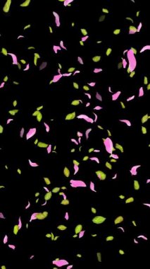 İlkbahar arkaplanı, Yapraklar, Yapraklar Siyah, beyaz, mavi arkaplan üzerine düşen yapraklar