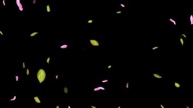 İlkbahar arkaplanı, Yapraklar, Yapraklar Siyah, beyaz, mavi arkaplan üzerine düşen yapraklar