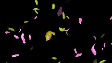 İlkbahar arkaplanı, Yapraklar, Yapraklar Siyah, beyaz, mavi arkaplan üzerine düşen yapraklar