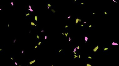 İlkbahar arkaplanı, Yapraklar, Yapraklar Siyah, beyaz, mavi arkaplan üzerine düşen yapraklar