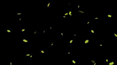 Siyah Arkaplanda Döngülü Yapraklar Animasyonu, Beyaz Arkaplan, Mavi Arkaplan