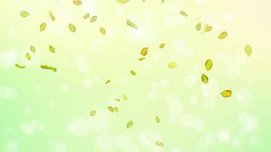 Bahar arkaplanı, yeşil yapraklı bahar arkaplanı ve bokeh