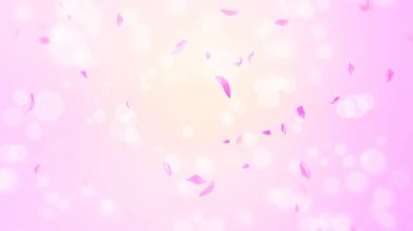 Pembe gül yaprakları, bahar arka planında kiraz çiçekleri, doğa.