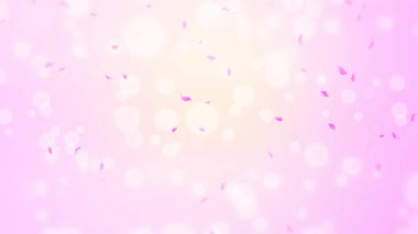 Pembe gül yaprakları, bahar arka planında kiraz çiçekleri, doğa.