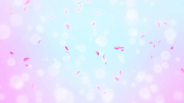 Pembe gül yaprakları, bahar arka planında kiraz çiçekleri, doğa.