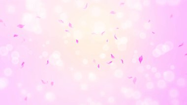 Pembe gül yaprakları, bahar arka planında kiraz çiçekleri, doğa.