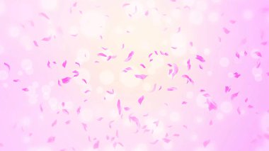 Pembe gül yaprakları, bahar arka planında kiraz çiçekleri, doğa.