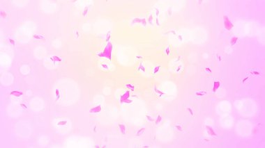 Pembe gül yaprakları, bahar arka planında kiraz çiçekleri, doğa.