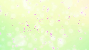 Pembe gül yaprakları, bahar arka planında kiraz çiçekleri, doğa.