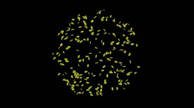 Siyah arkaplanda patlayan yeşil yaprak. 