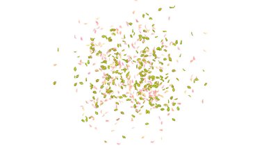 Bahar arkaplanı, Beyaz Arkaplanda Düşen Yapraklar ve Yapraklar