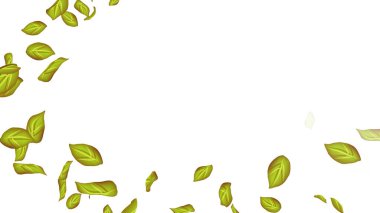 Beyaz Arkaplanda Yapraklar. Kanat çırpan yaprakların arkaplanı