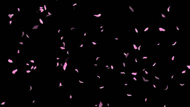 Siyah Arkaplanda Pembe Yapraklar Düşüyor