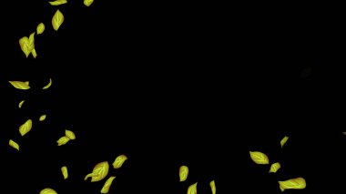 Siyah arka plan üzerine düşen yaprakları