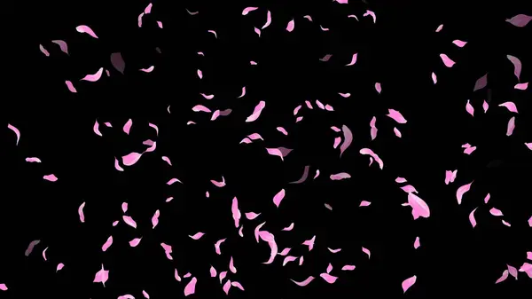 Siyah Arkaplanda Pembe Yapraklar Düşüyor