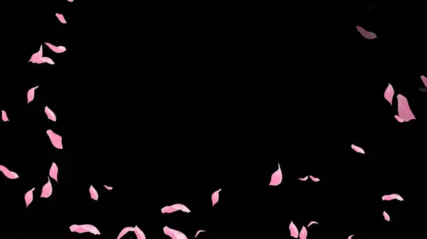 Koyu siyah arka planda Düşen Gül Yaprakları, düğün, romantizm, aşk, sevgililer