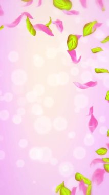 Bahar kiraz çiçeği yaprakları ve yaprakları, doğa gradyan tasarım elementi