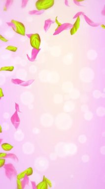 Bahar kiraz çiçeği yaprakları ve yaprakları, doğa gradyan tasarım elementi